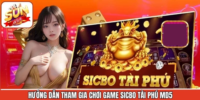 Hướng dẫn cá cược Sicbo Tài Phú MD5 tại Sunwin