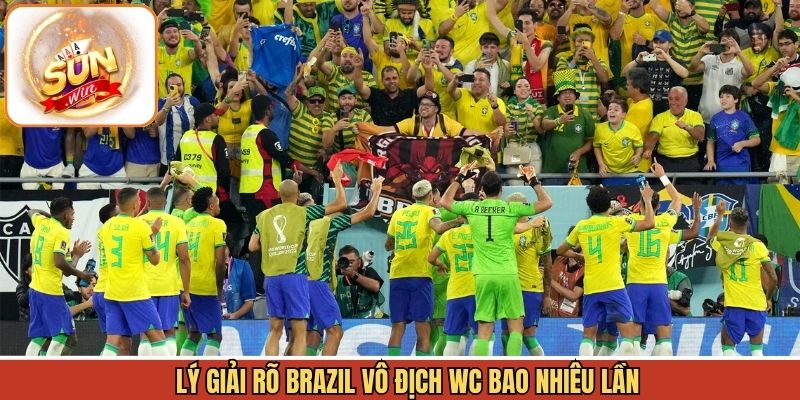 Giải đáp số lần Selecao đoạt cúp trong lịch sử
